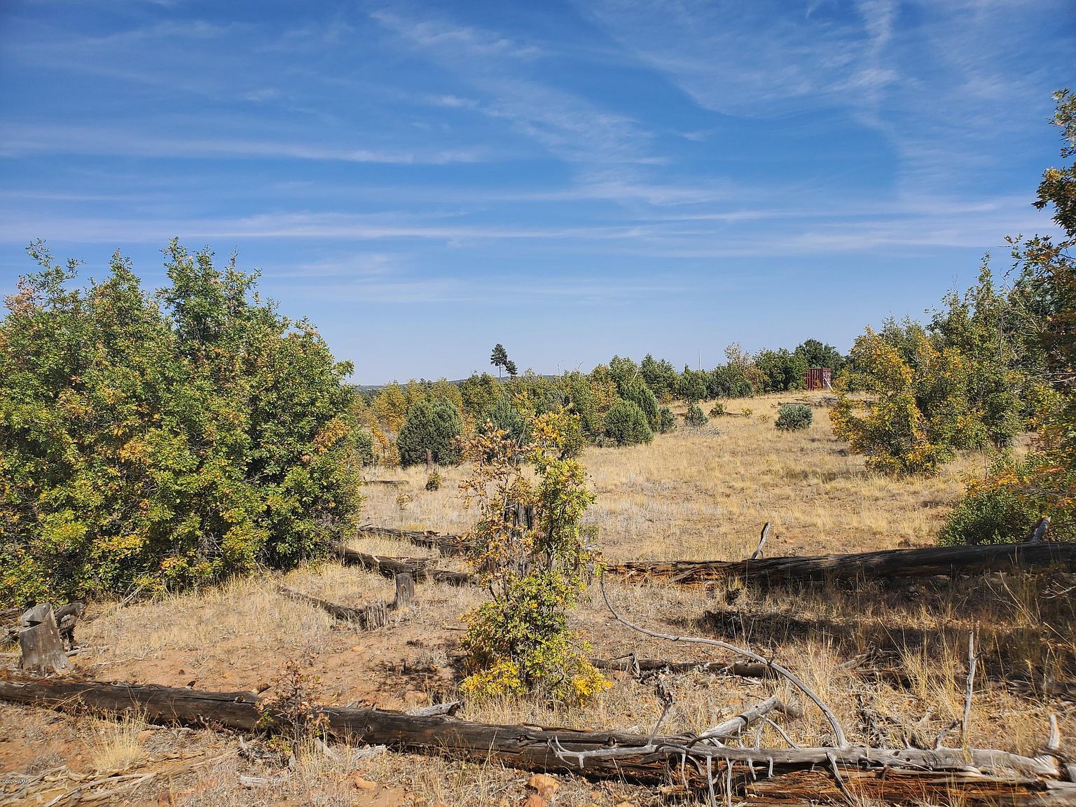 White Cloud Ln Pinedale, AZ 85934 - Thumbnail 3