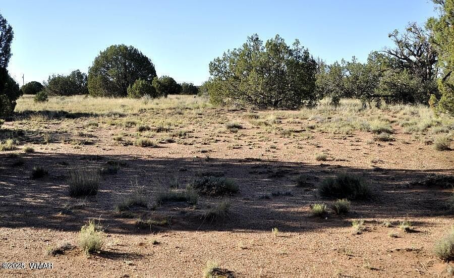 4427 Pinto Rd Snowflake, AZ 85937 - Thumbnail 3