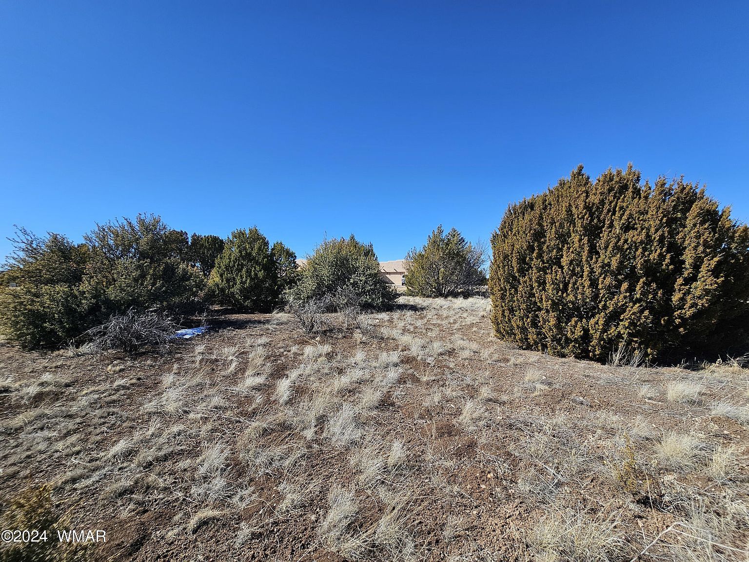 1968 Ridgeway Dr Show Low, AZ 85901 - Thumbnail 3