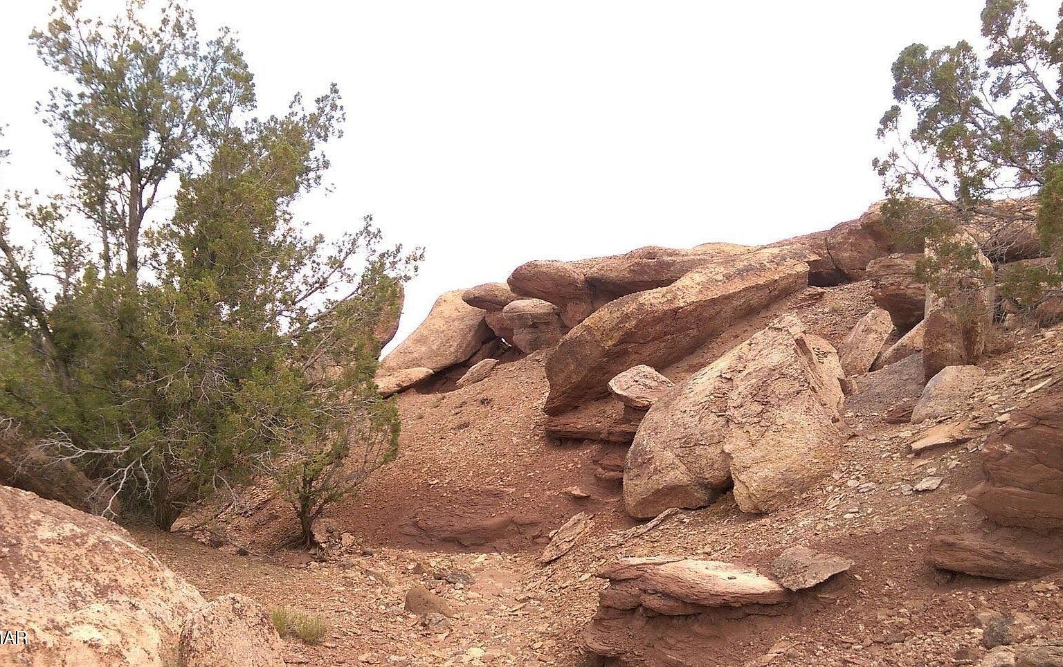 County Road 212 #11-013A Concho, AZ 85924 - Thumbnail 3