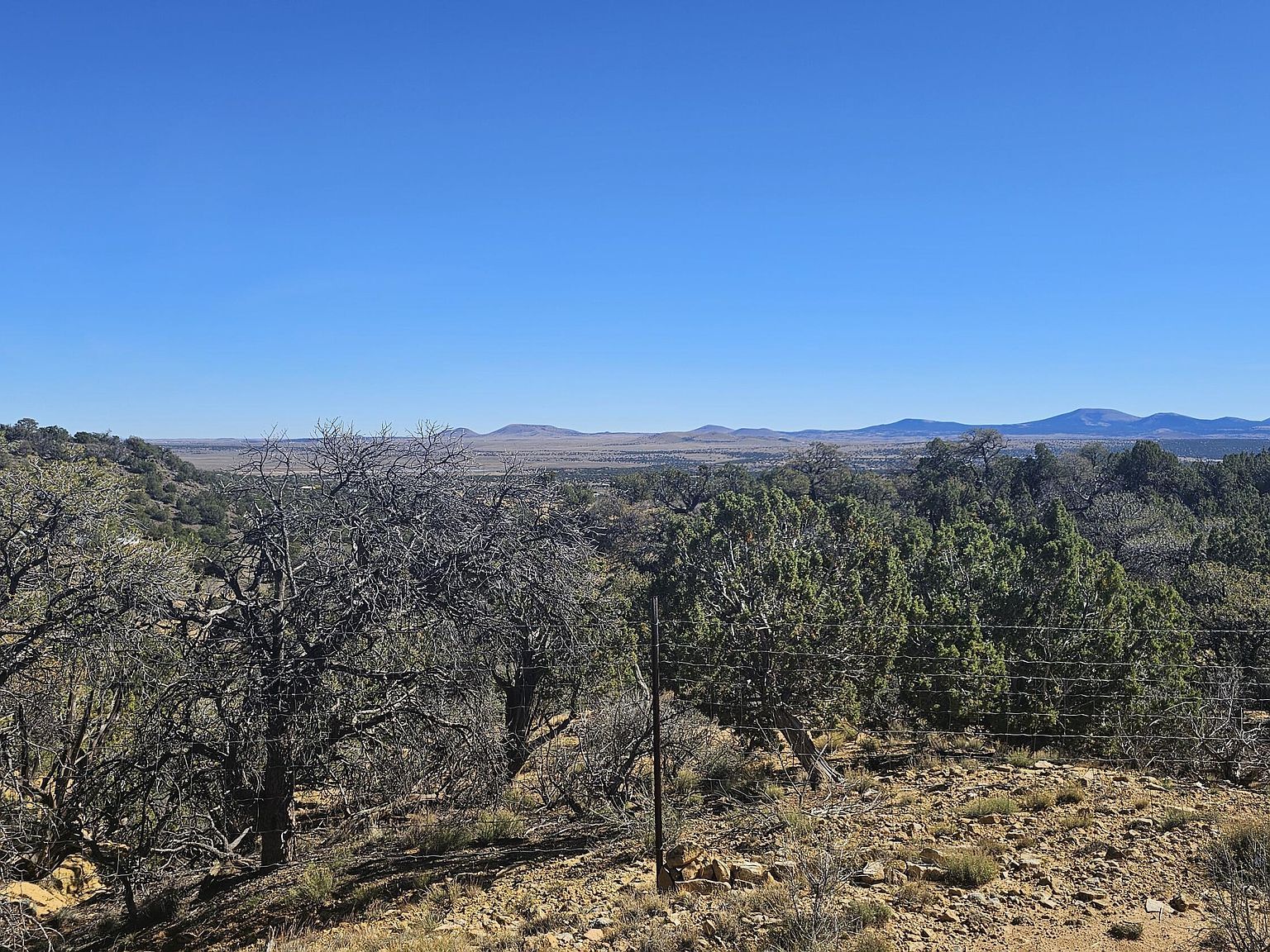4 County Rd Concho, AZ 85924 - Thumbnail 3