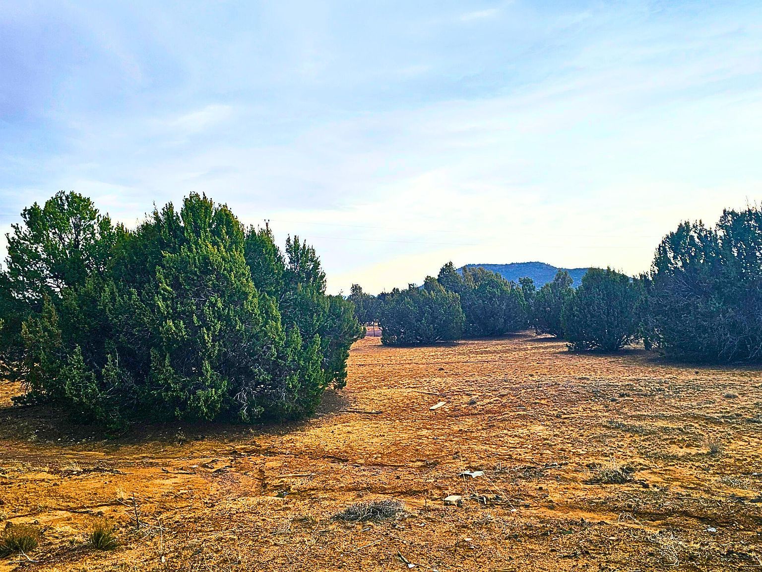 55 N Country Club Lane Dr Concho, AZ 85924 - Thumbnail 3