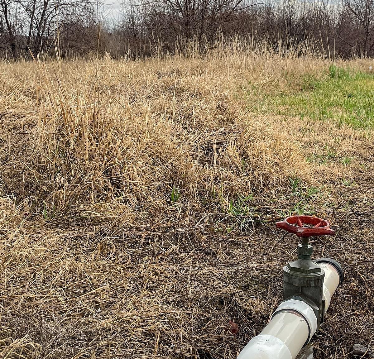 21809 N Bunn Rd Prosser, WA 99350 - Thumbnail 3