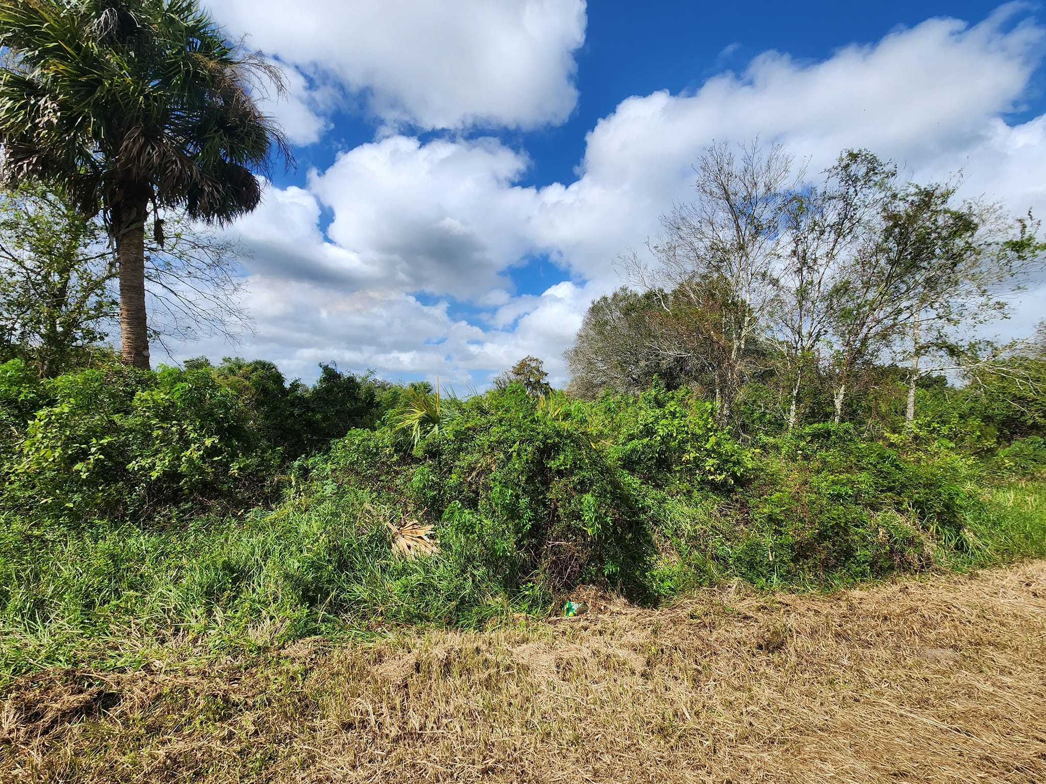 760 North Brida Street, Clewiston, FL, USA, 33440 - Thumbnail 3