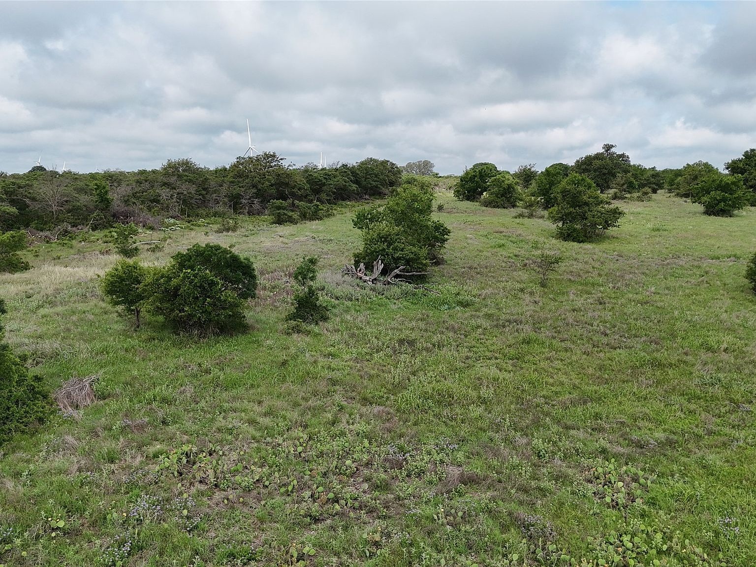 LOT 51 County Road 242 Comanche, TX 76442 - Thumbnail 3