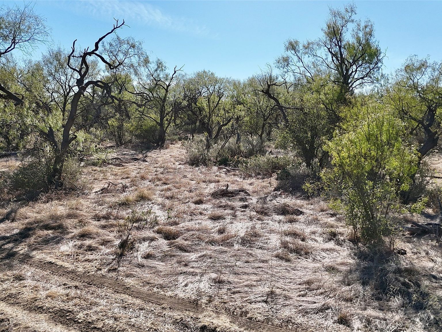 456 County Road 156 Eastland, TX 76448 - Thumbnail 3