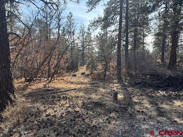 2308 Bull Elk Pl Pagosa Springs, CO 81147 - Thumbnail 3