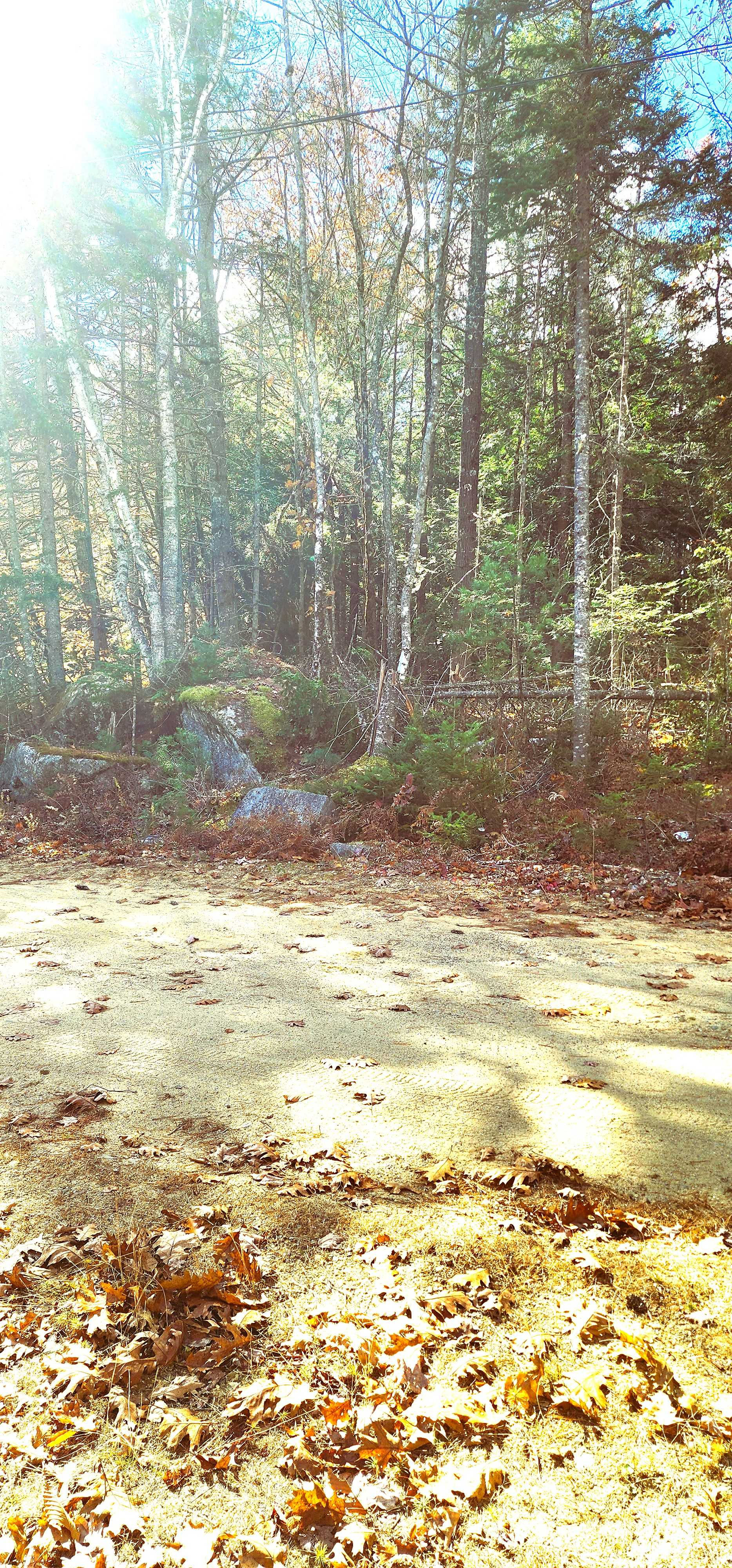 35 Spruce Court Barnstead, NH - Thumbnail 3