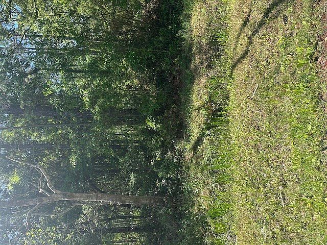 LOT 42 E Lamar St Bay Saint Louis, MS 39520  | Land/Lot