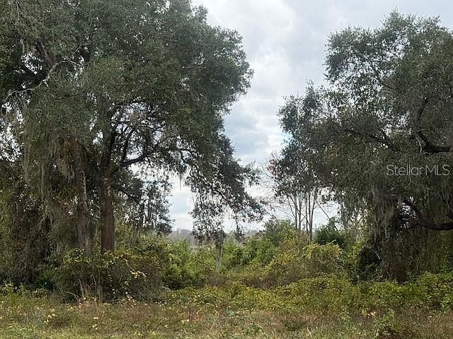 SE 175th Ter Lot 18 Silver Springs, FL 34488 - Thumbnail 3