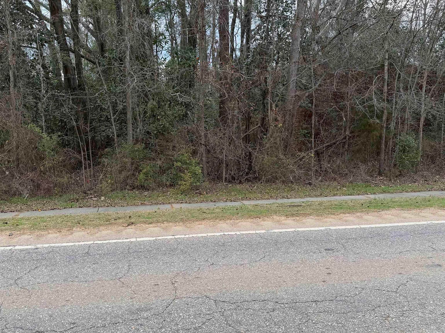 0 State Highway 47 Beatrice, AL 36425 - Thumbnail 3