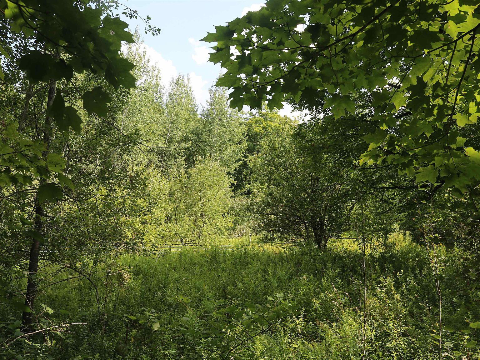 223 Deming Rd Enosburg Falls, VT 05450 - Thumbnail 3