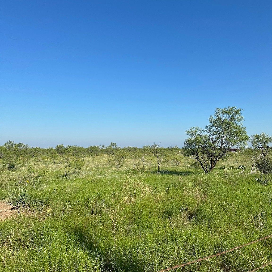 TRACT 20 County Road 155 Abilene, TX 79601 - Thumbnail 3