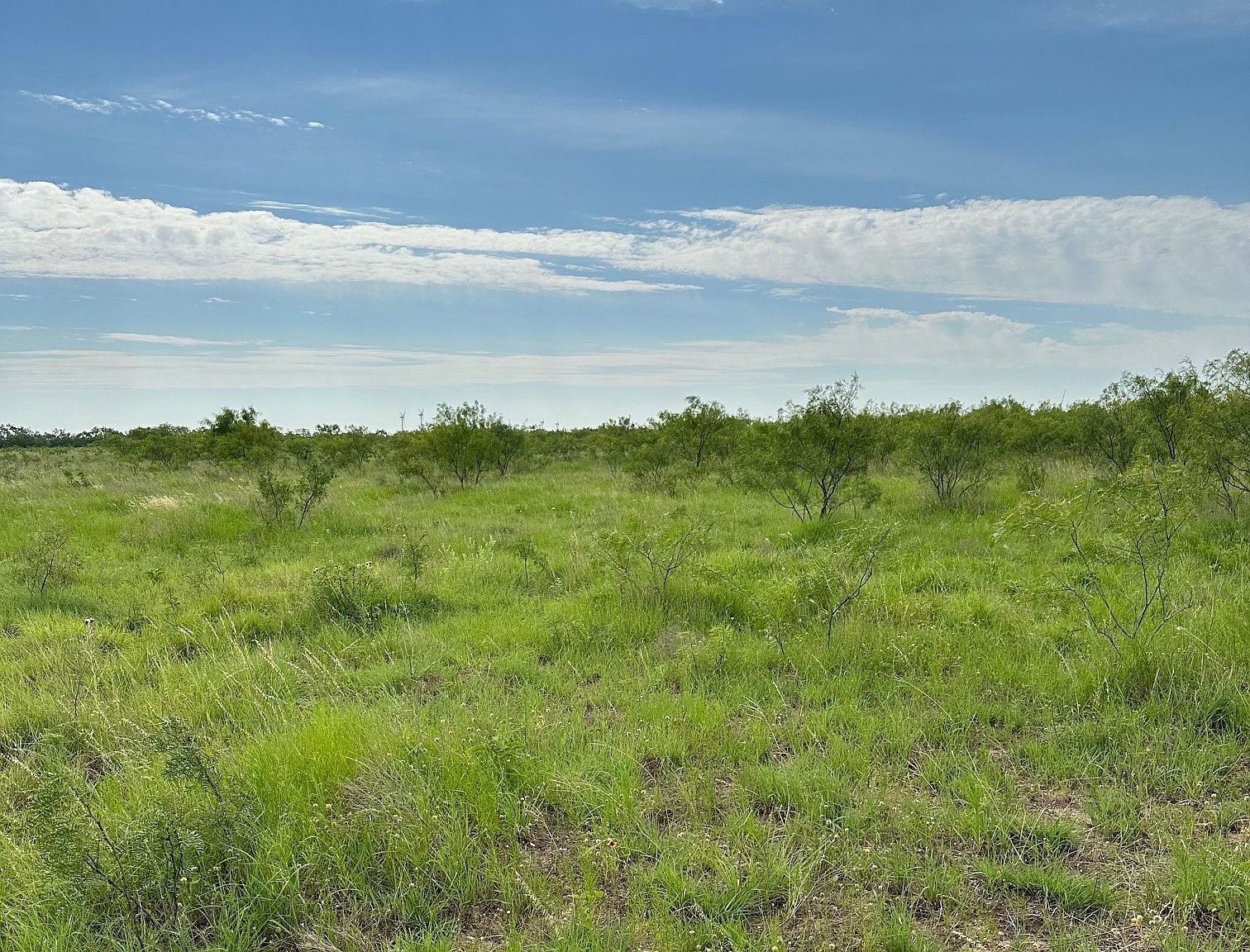 TRACT 11 County Road 152 Abilene, TX 79601 - Thumbnail 3