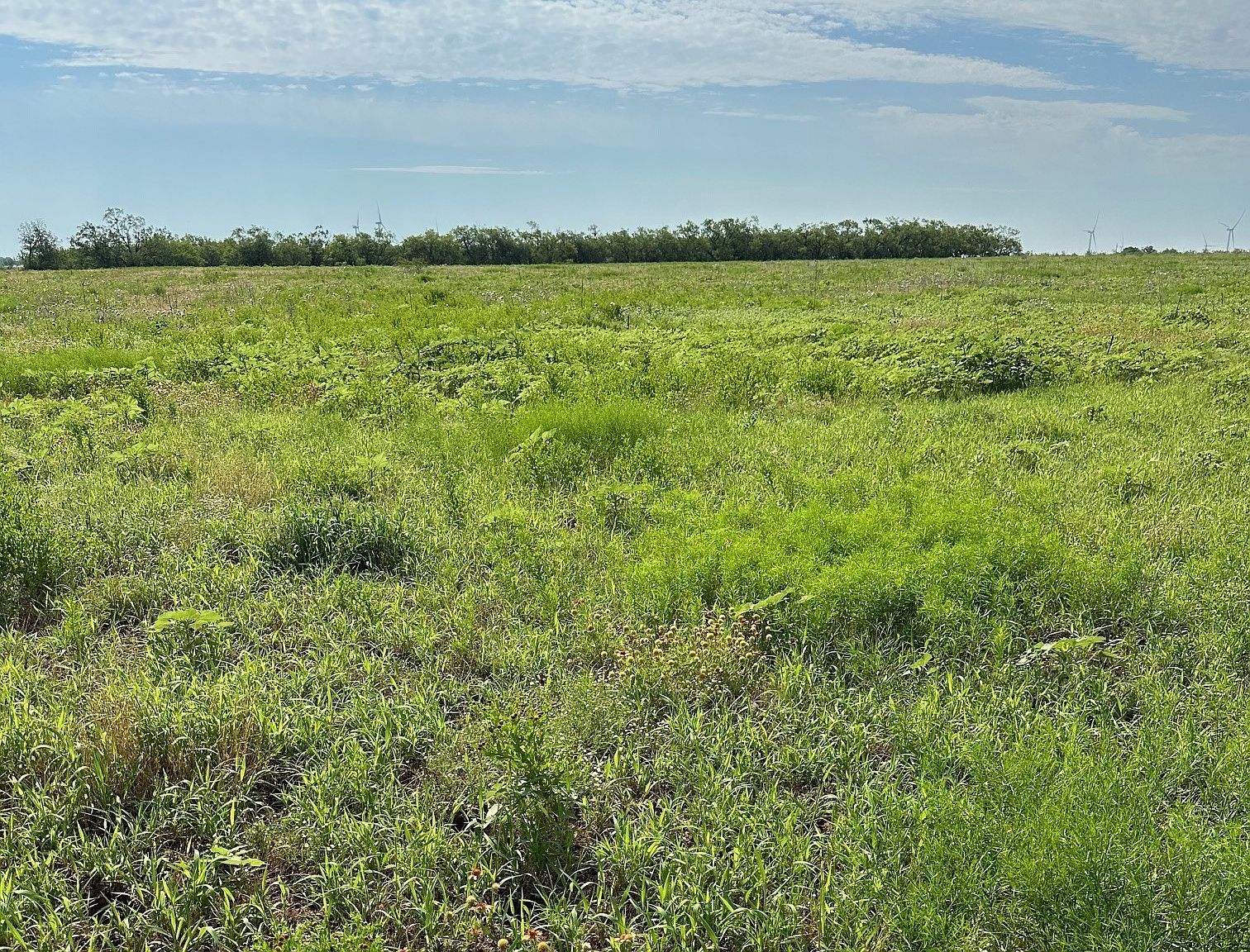 TRACT 23 County Road 105 Abilene, TX 79601 - Thumbnail 3