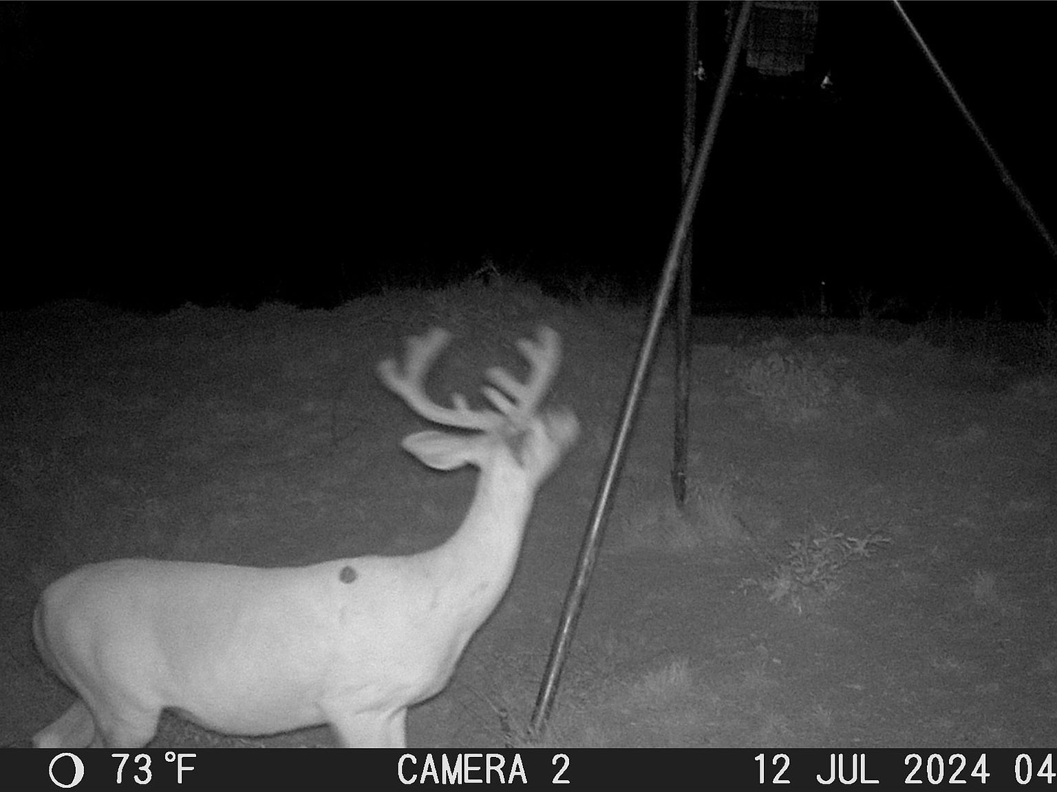 Tbd Cres #120 Brownwood, TX 76801 - Thumbnail 3