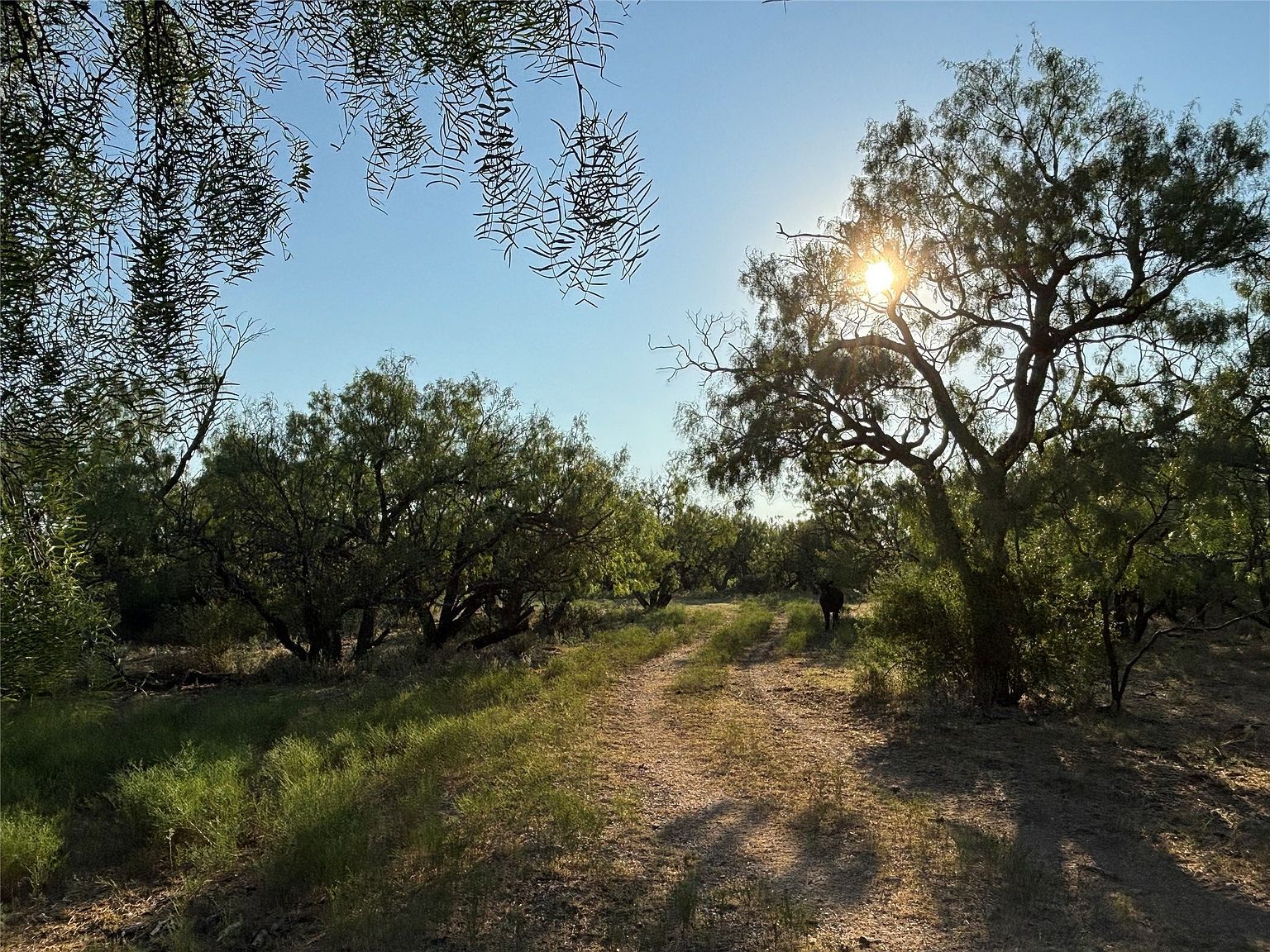 County Road 100 Abilene, TX 79601 - Thumbnail 3