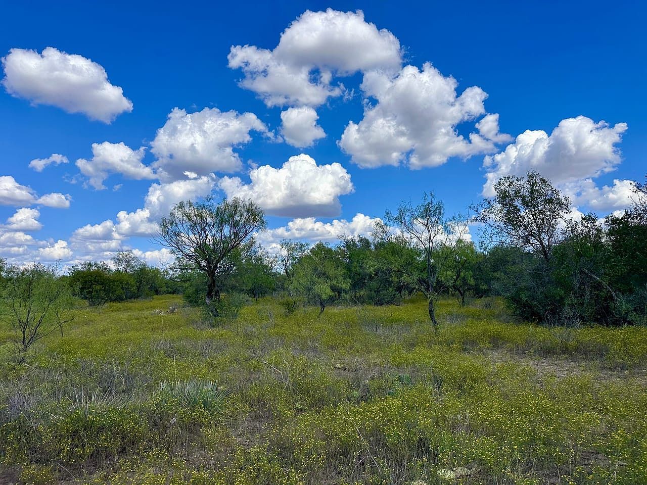 802/AC County Road 100 Abilene, TX 79601 - Thumbnail 3