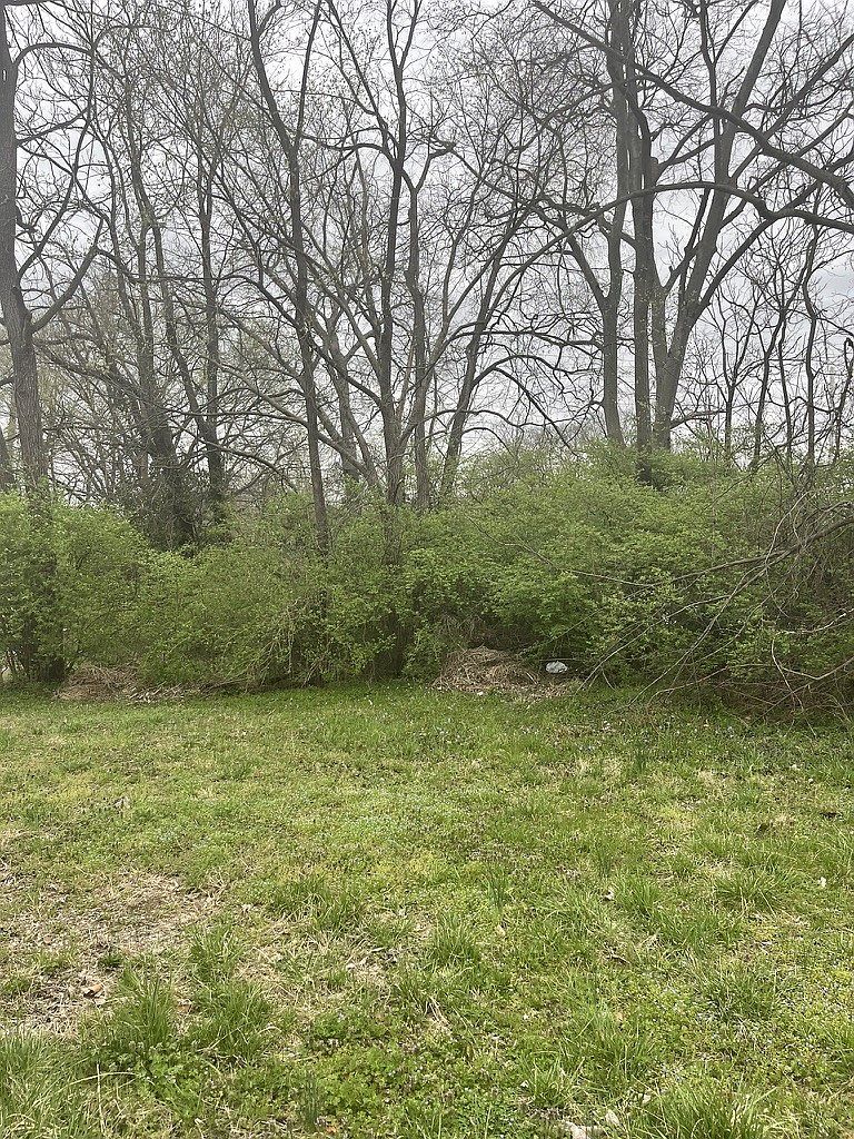 1717 Delta Ave LOT 208 Nashville, TN 37208 - Thumbnail 3