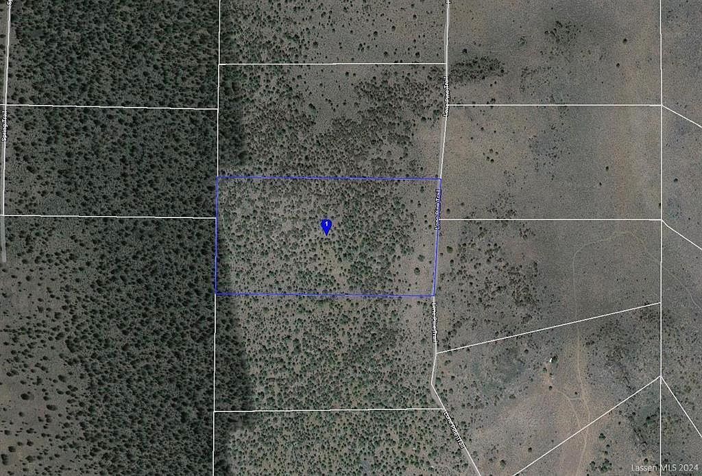 019-260-018 Lone Pine Trl Termo, CA 96132 - Thumbnail 3