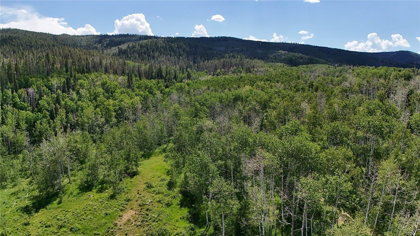 LOT 23 Gallop Trl Oak Creek, CO 80467 - Thumbnail 3