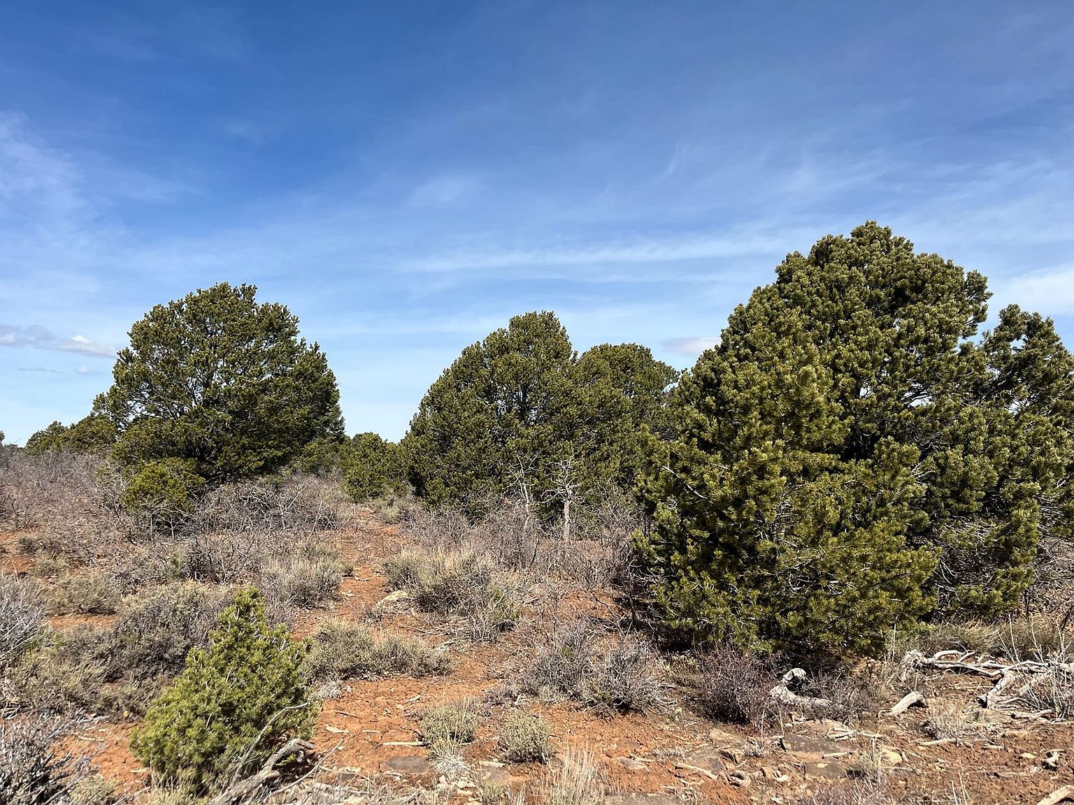 LOT 1 Road J7 Egnar, CO 81325 - Thumbnail 3