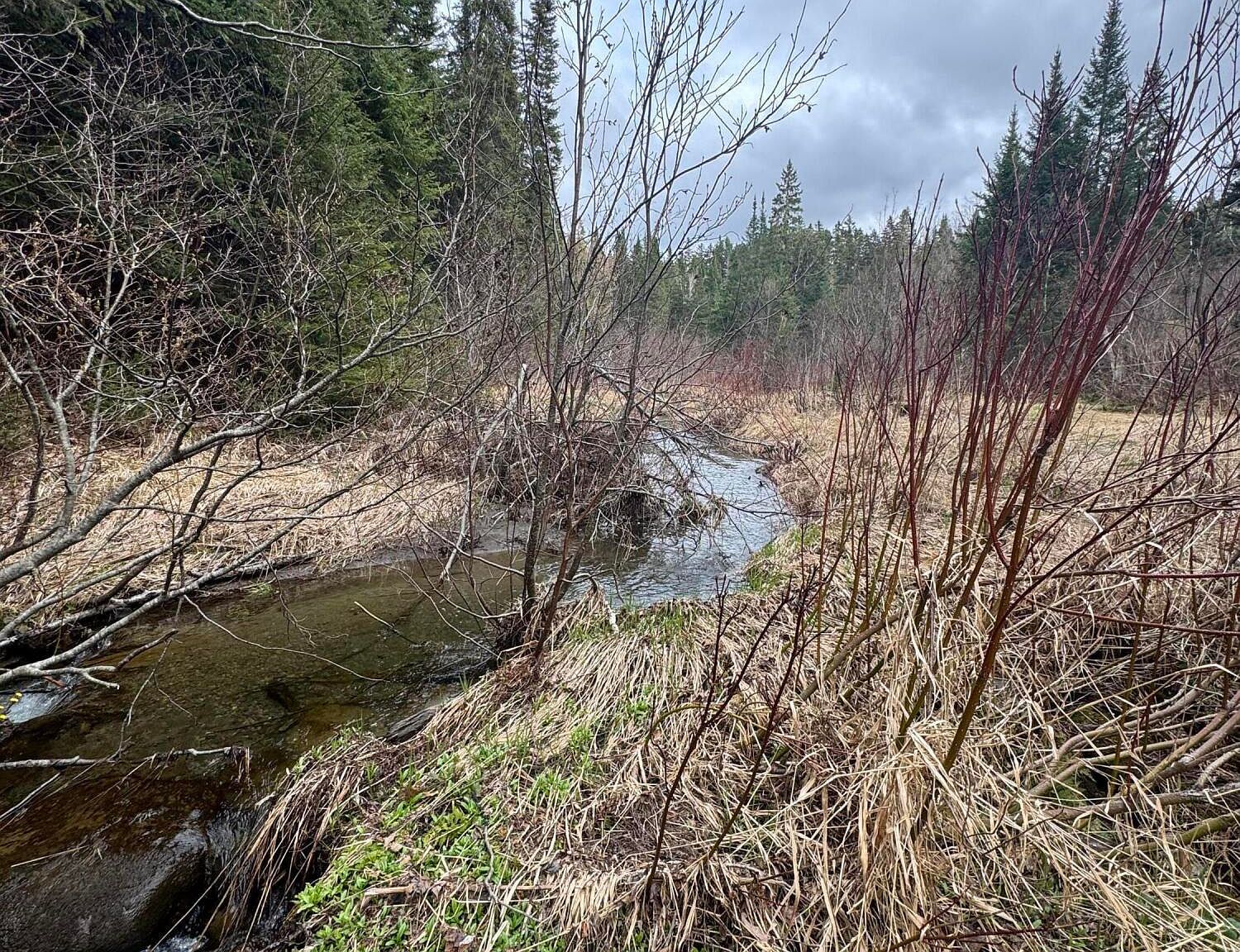 Lots3 4 5a Beaulieu Rd Madawaska, ME 04756 - Thumbnail 3