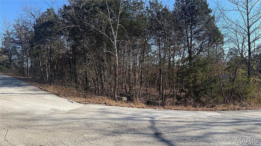 0 Sassafras Dr Hillsboro, MO 63050 - Thumbnail 3