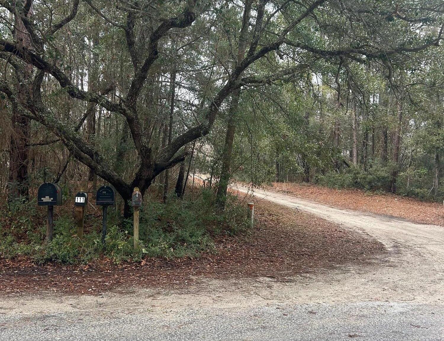 103 Dogwood Ln Sneads Ferry, NC 28460 - Thumbnail 3