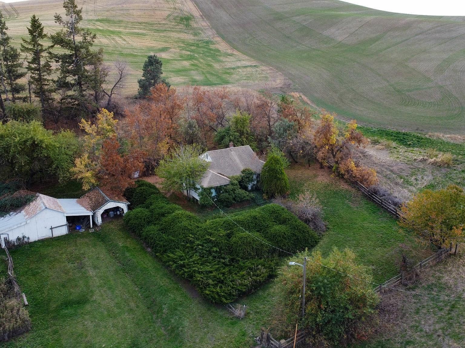 5904 Johnson Rd Pullman, WA 99163 - Thumbnail 3