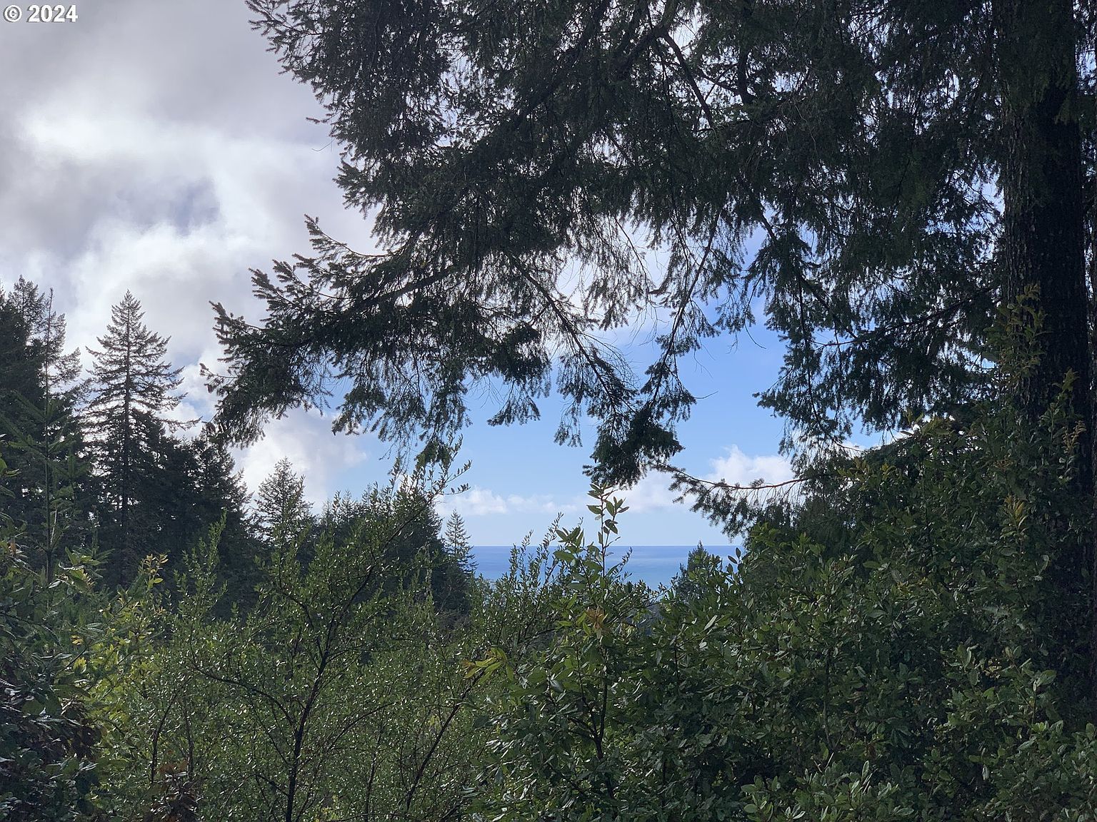 Duley Crk #501/503 Brookings, OR 97415 - Thumbnail 3