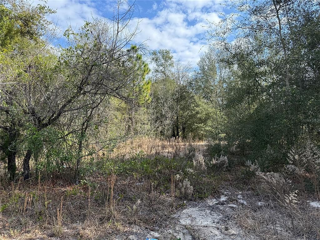 SE 92nd Ct Belleview, FL 34420 - Thumbnail 3