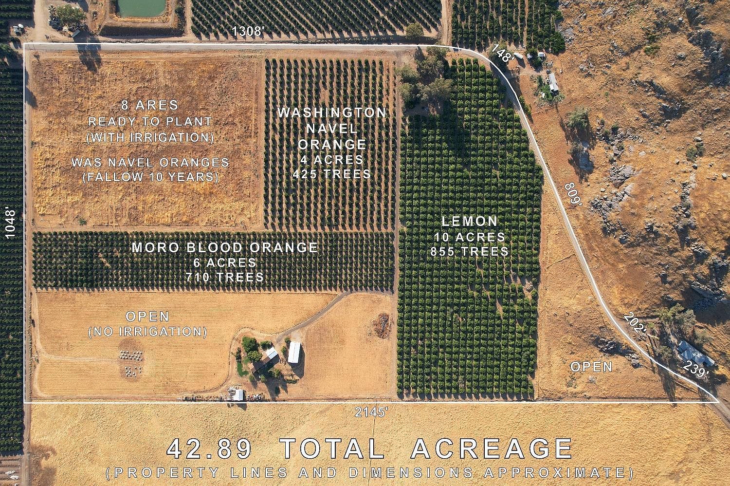 3363 S Anchor Ave, Orange Cove, CA, 93646 - Thumbnail 3