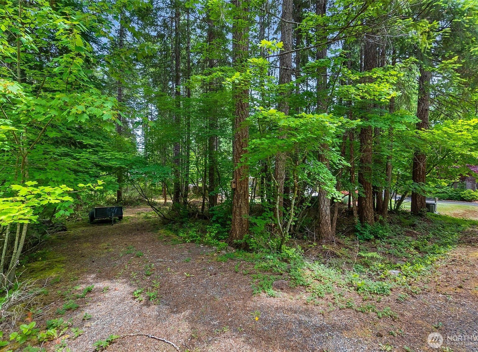 0 Xx N Mountain View Dr Hoodsport, WA 98548 - Thumbnail 3