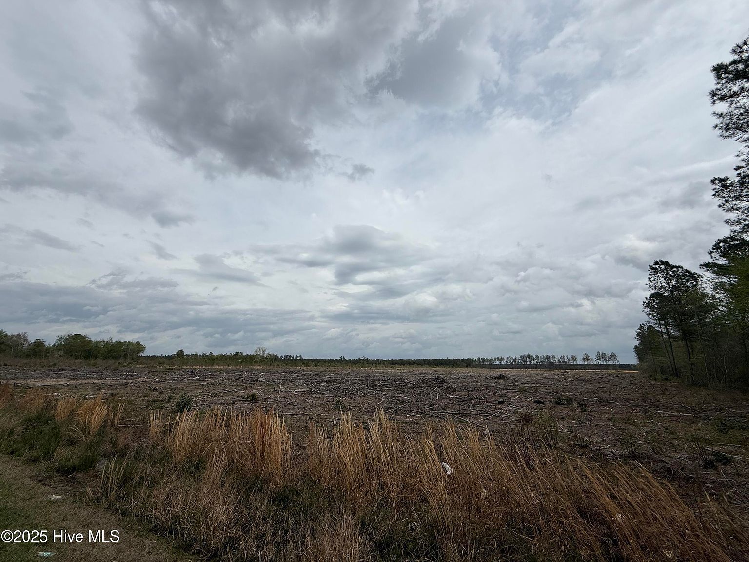 0 Roosevelt Spain Rd Greenville, NC 27834  | Land/Lot