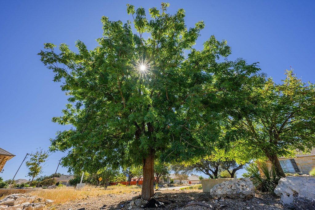 2081 Summit Crest Dr Kerrville, TX 78028 - Thumbnail 3