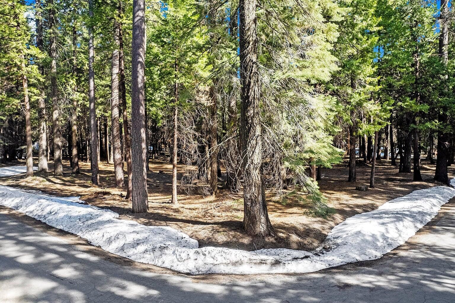 LOT 6 Colossians Way Shingletown, CA 96088 - Thumbnail 3