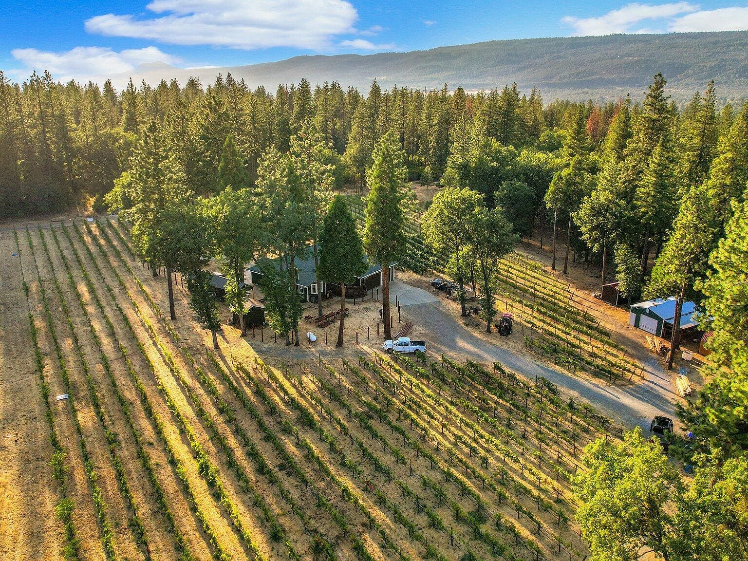 32055 Forwards Mill Rd Manton, CA 96059 - Thumbnail 3