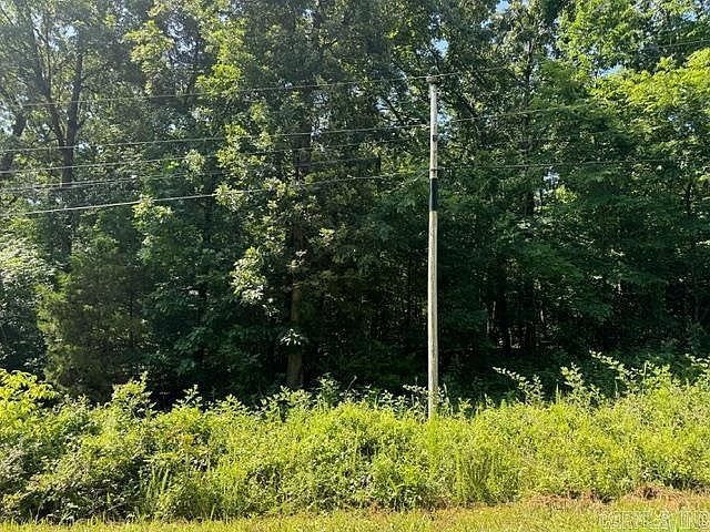 Springview Rd Pocahontas, AR 72455 - Thumbnail 3