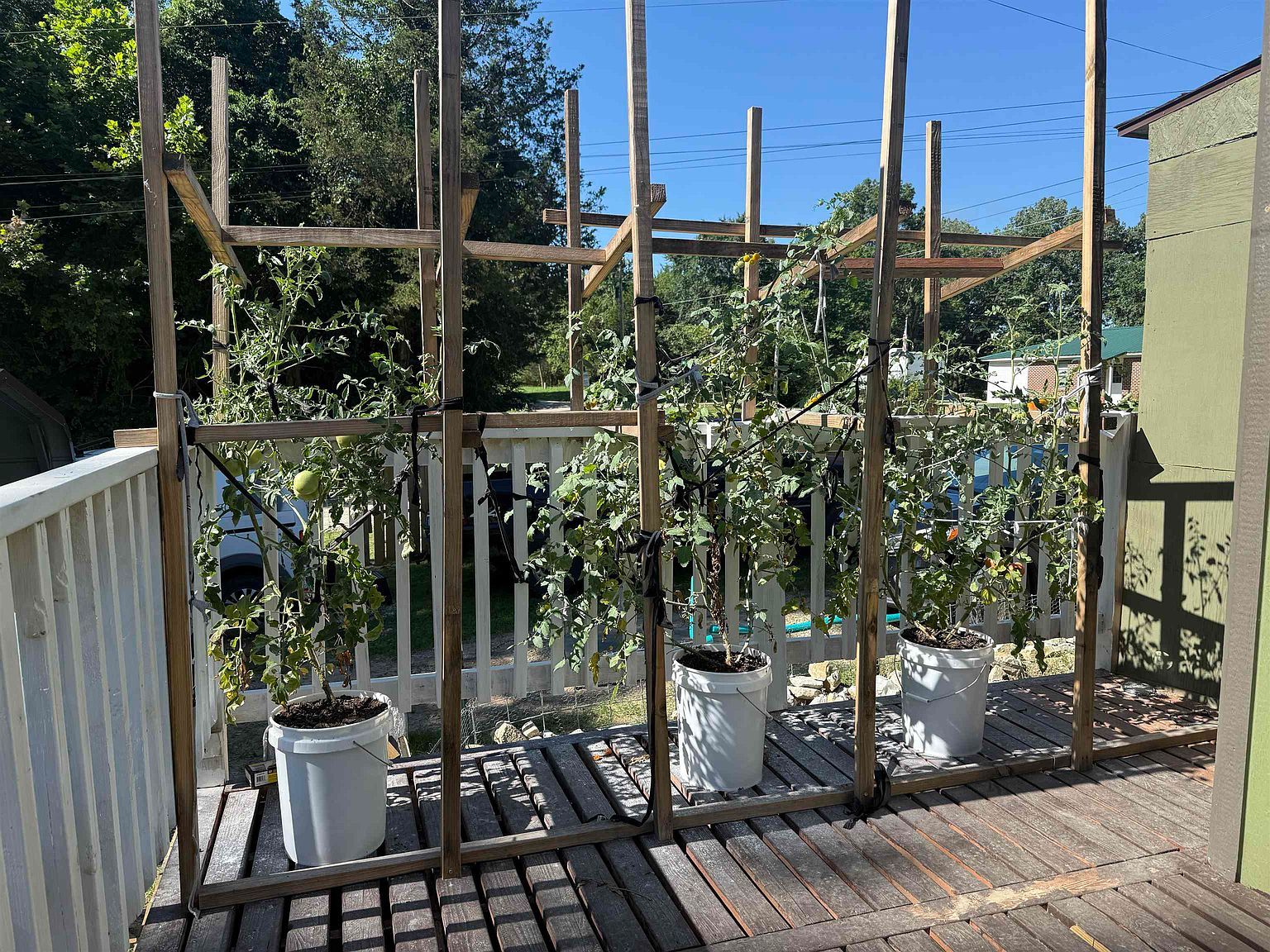 81 Lawrence #245 Powhatan, AR 72458 - Thumbnail 3