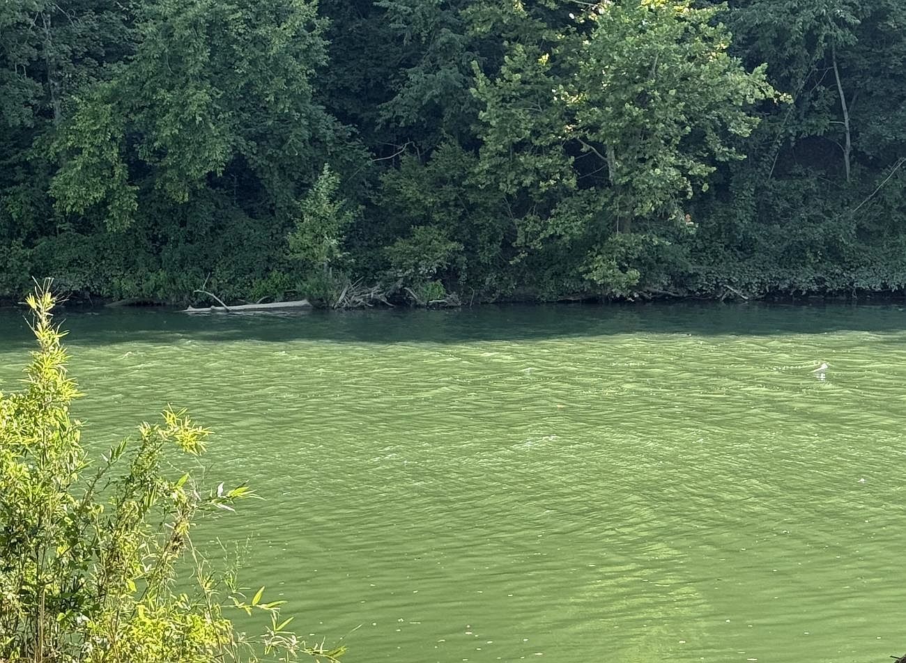 0 Highway 63 Byp Hardy, AR 72542 - Thumbnail 3