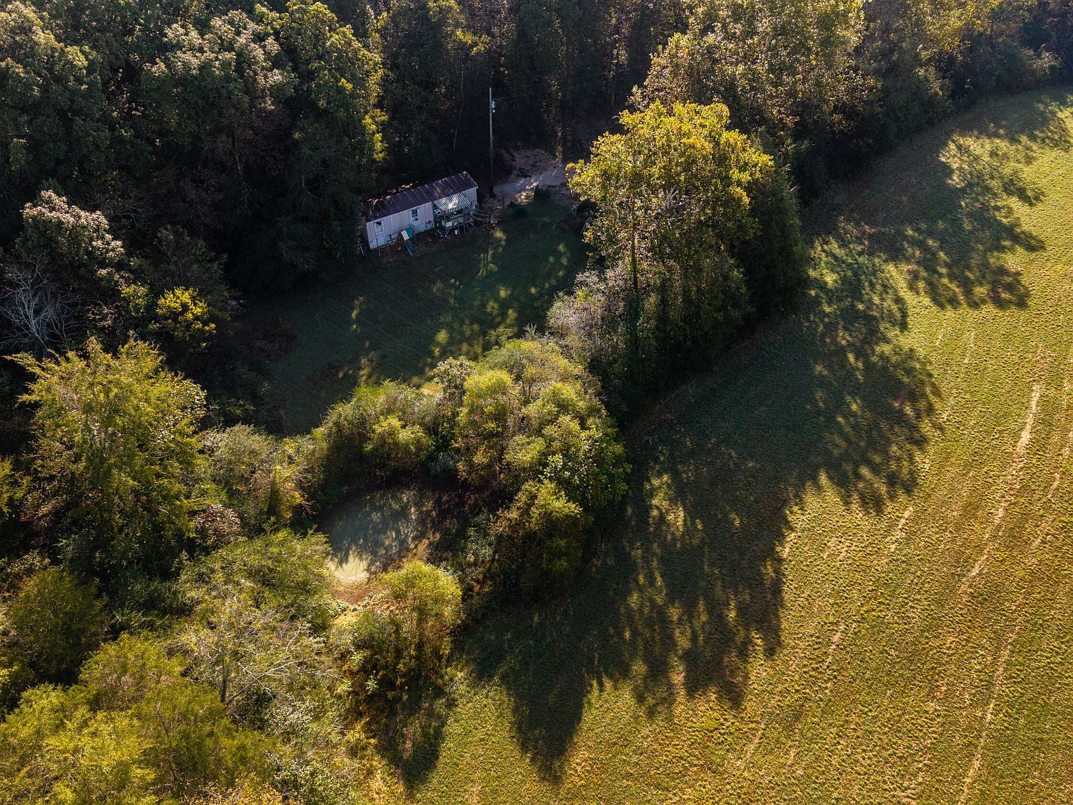 238 County Road 792 Etowah, TN 37331 - Thumbnail 3