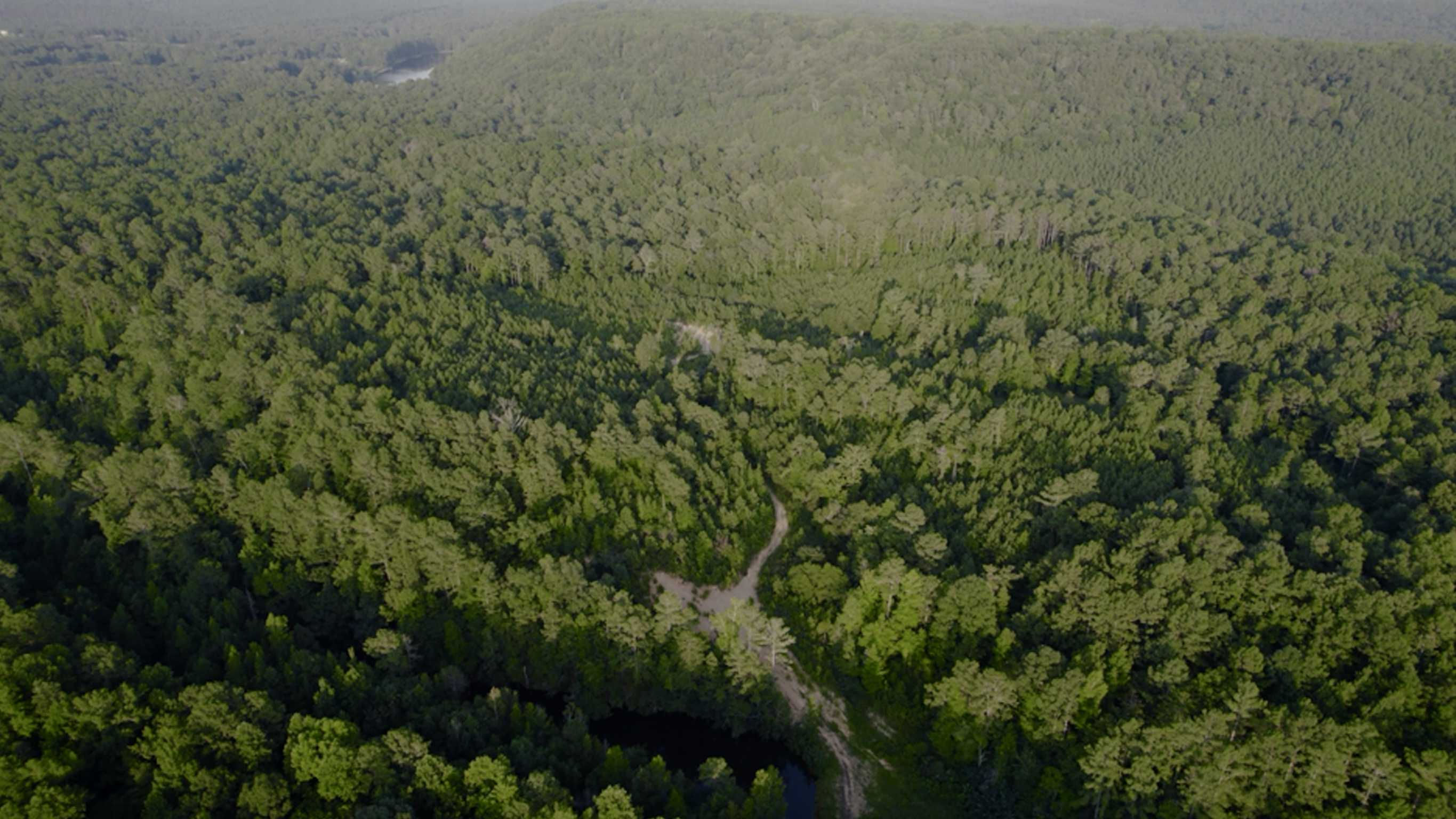 Levine Road, Odenville, AL, USA, 35120 - Thumbnail 3