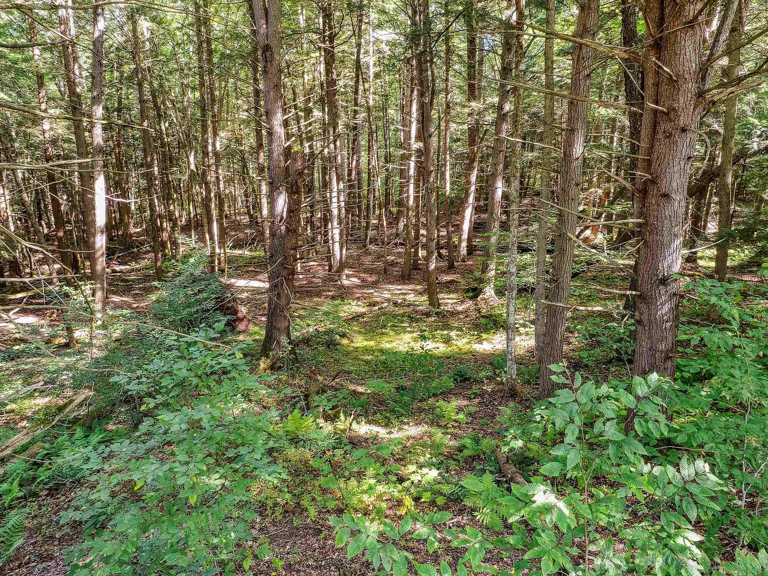 933 Gage Rd Tunbridge, VT 05077 - Thumbnail 3