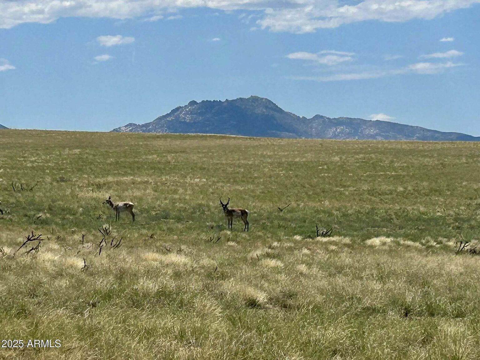 40-A1 E Norma Dr Prescott Valley, AZ 86315 - Thumbnail 3