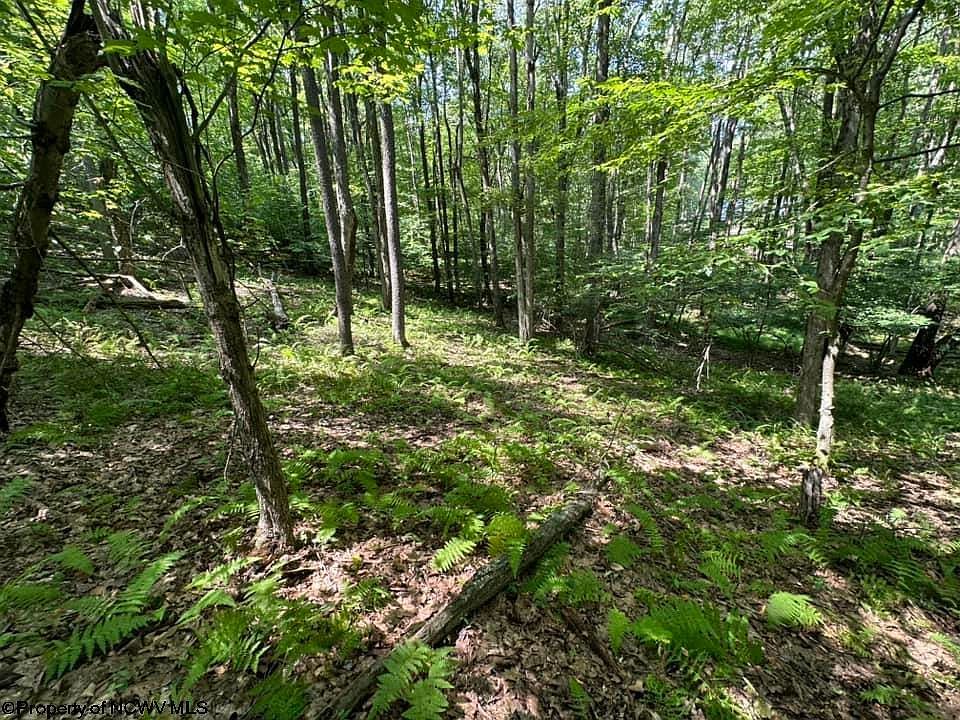 106 & 107 Lakeview Dr Terra Alta, WV 26764 - Thumbnail 3