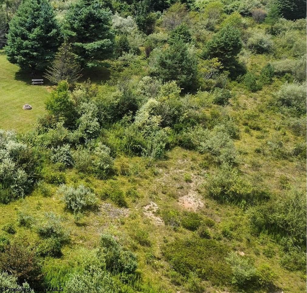 57 Bluebird Dr Terra Alta, WV 26764 - Thumbnail 3