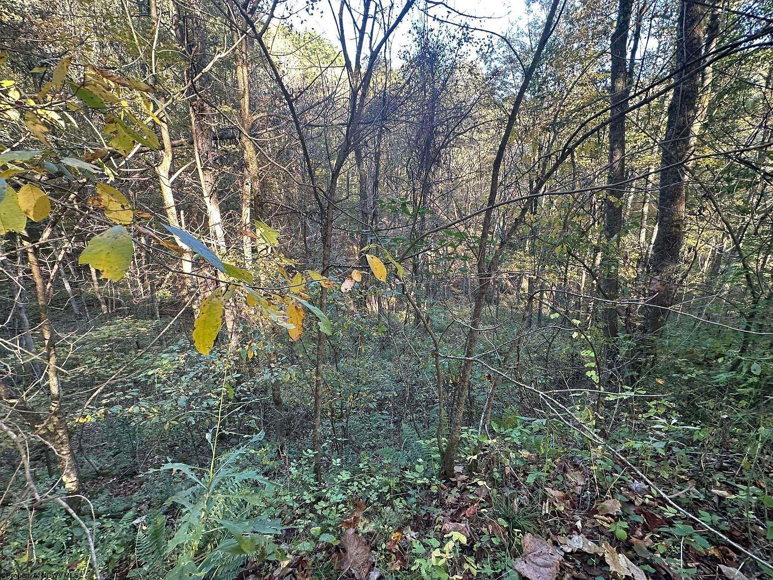 7 Cannon Hill Rd Rowlesburg, WV 26425 - Thumbnail 3