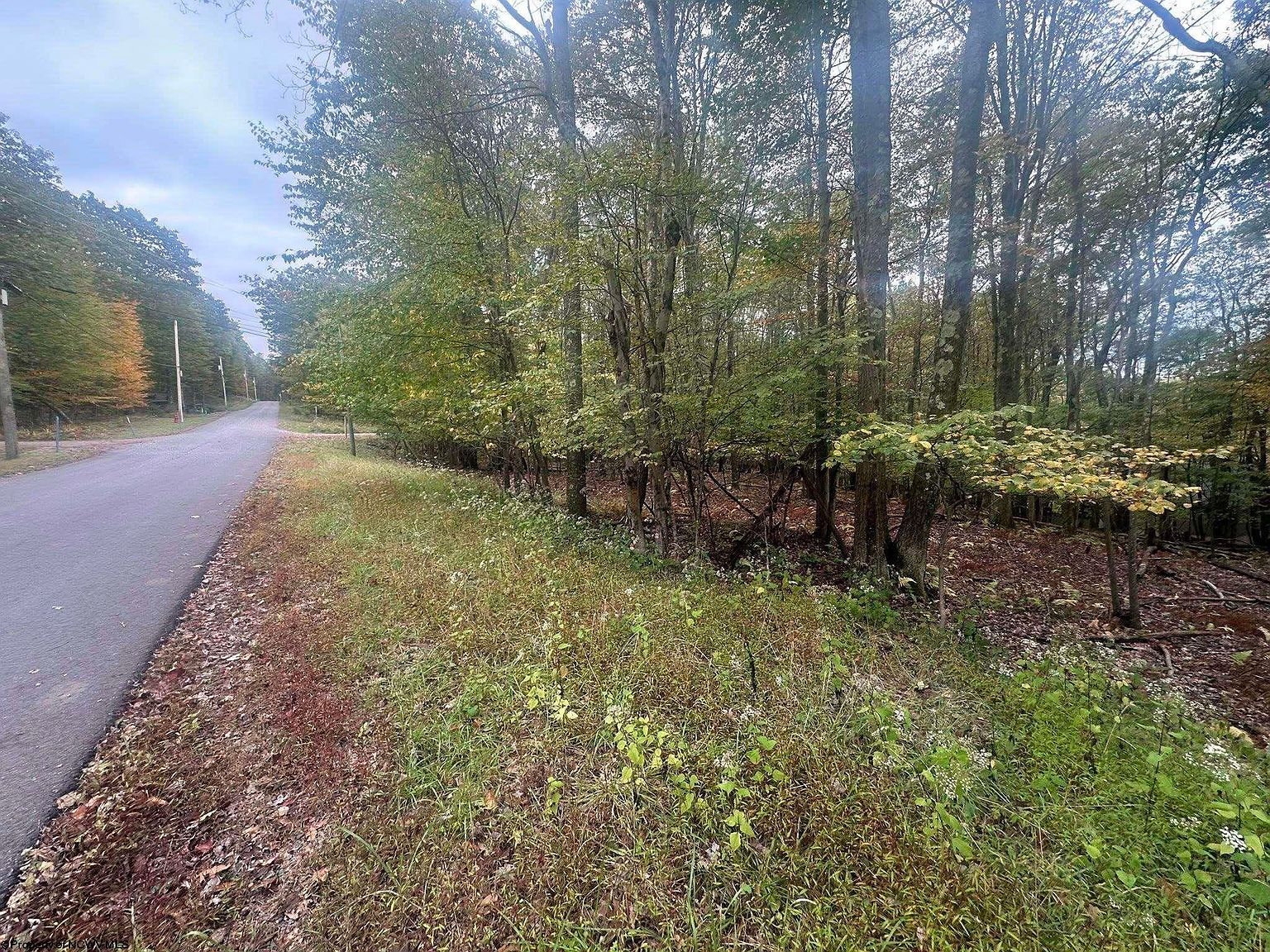 Lots 27 & 28 Alpine Dr Terra Alta, WV 26764 - Thumbnail 3