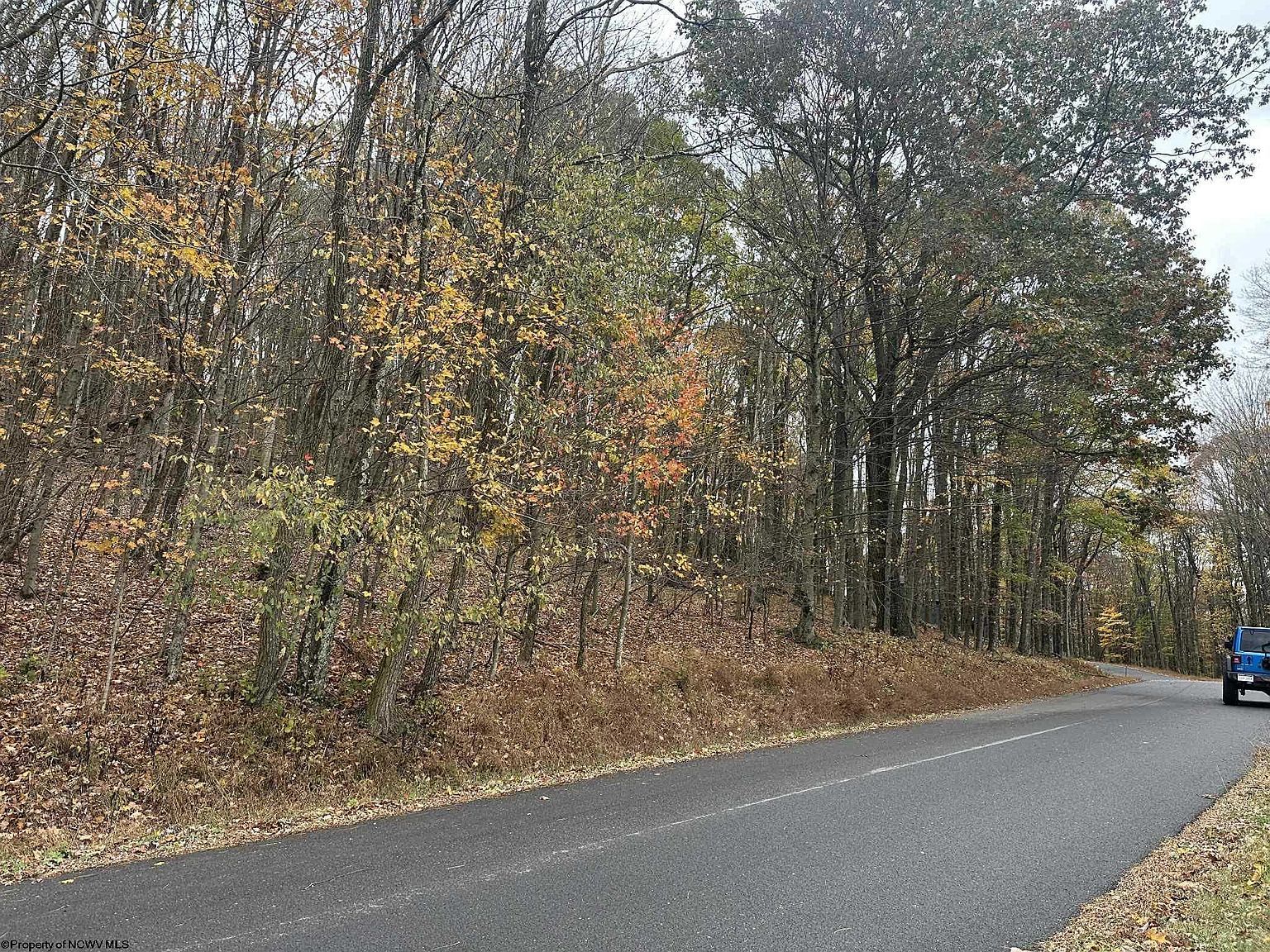 125/51 W Alpine Dr Terra Alta, WV 26764 - Thumbnail 3
